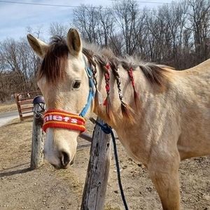 Meet your Posher, Summer